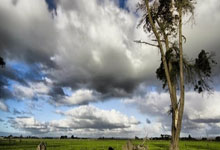 开云体育在线-帕尔梅拉斯外援训练状态火热，世俱杯淘汰赛关键战