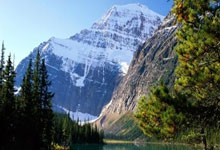 开云体育登录-赤足追风：里斯本小子撕裂赛道，葡萄牙黑马震撼奥运决赛圈