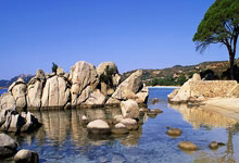 开云体育登录-赤足追风：里斯本小子撕裂赛道，葡萄牙黑马震撼奥运决赛圈