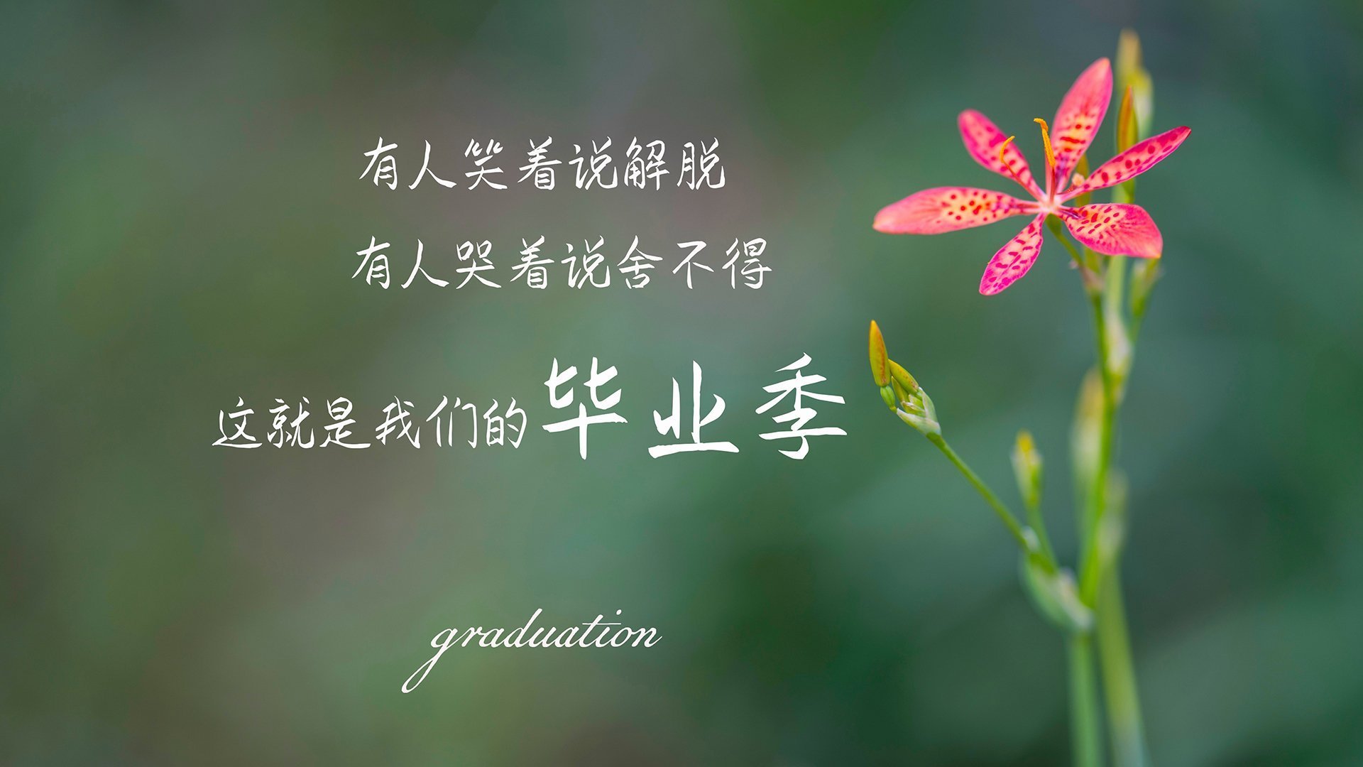 开云体育平台APP-双拳撼地！布伦森48分孤胆擎天，残阵尼克斯血拼印第安娜