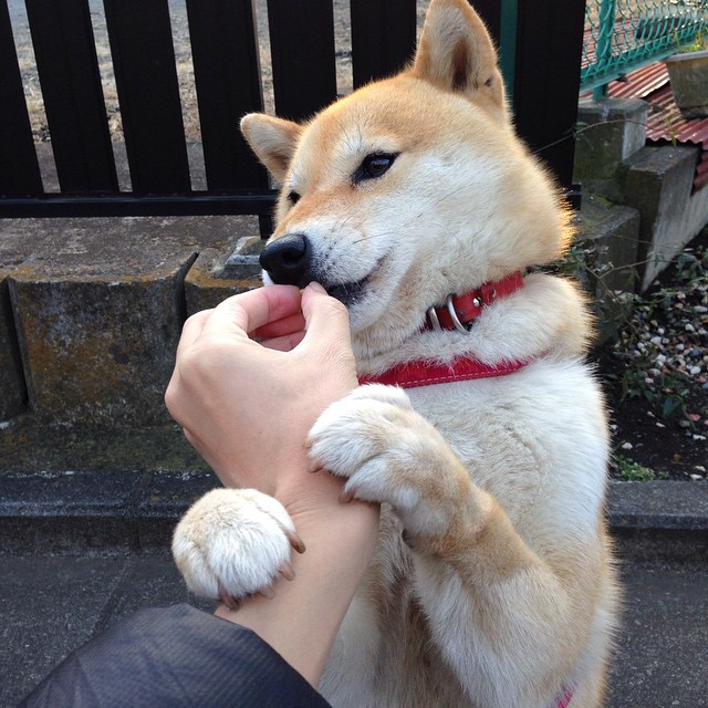 开云体育入口-广厦队强势挑战鹈鹕，恩比德带队取胜展现实力