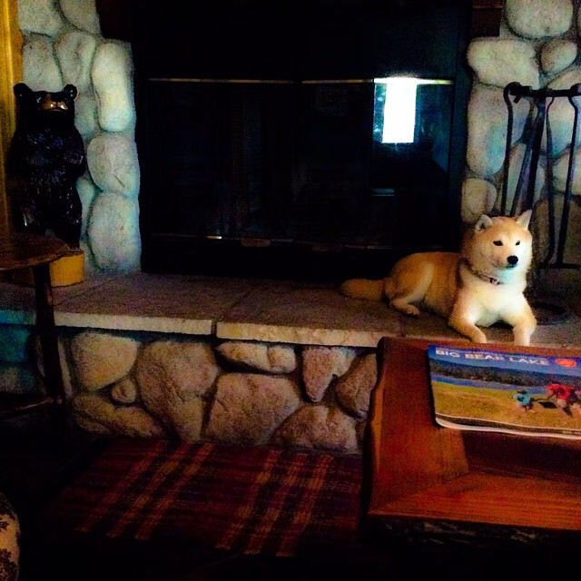 开云平台-热带风暴击碎钢铁防线，本泽马如何用一场比赛改写两个世界的排名