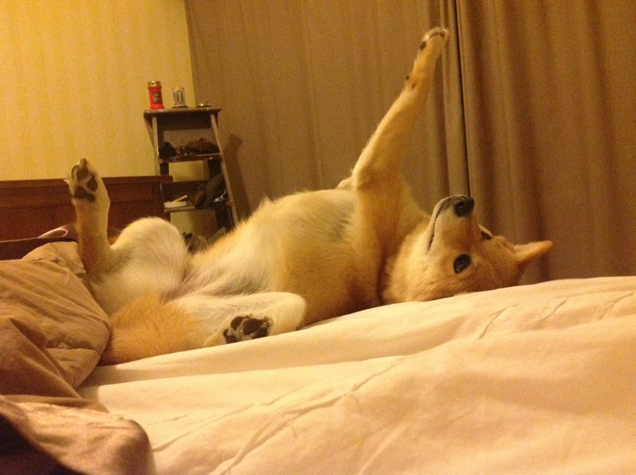 开云体育中国-乔治封喉一击，拯救雷霆的制胜英雄