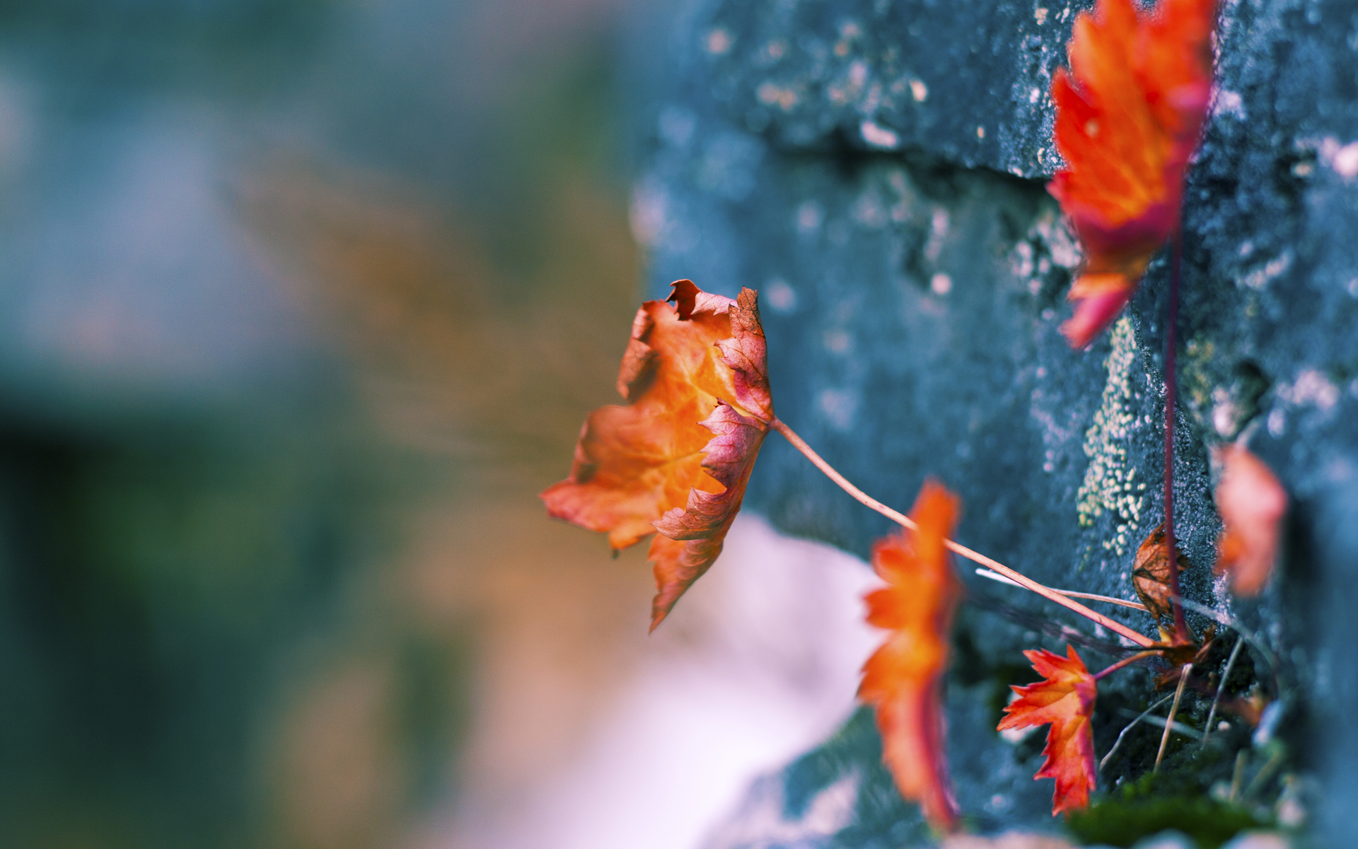 团队溃败与孤胆英雄,爵士冲垮魔术,哈登在抢七战中接管比赛