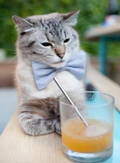 亚洲荣光与南美新王，当传统铁血遭遇超维智慧—美加墨世界杯的传承与裂变