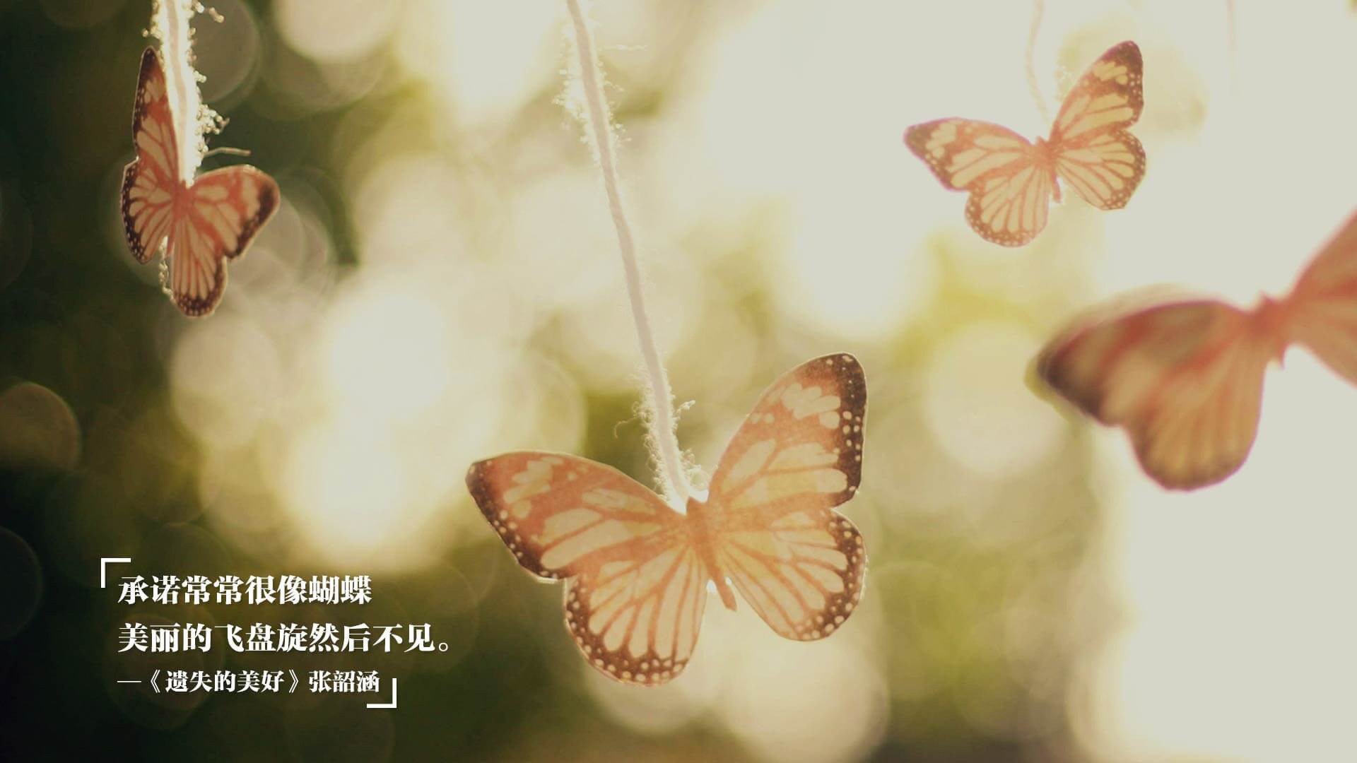 年度焦点之战,霍勒迪,那道锁死荣耀的寒冰枷锁