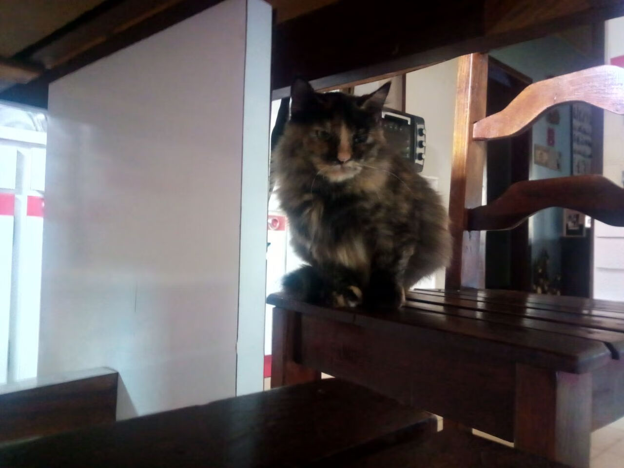 极致逆转，赛道与球场的史诗双城记