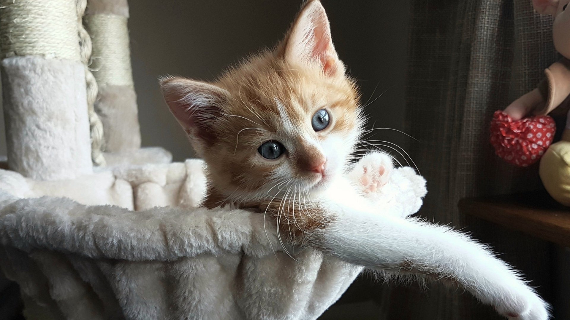 跨洲际的篮球对话，伦纳德完美演出背后，辽宁如何以东方智慧轻取爵士？