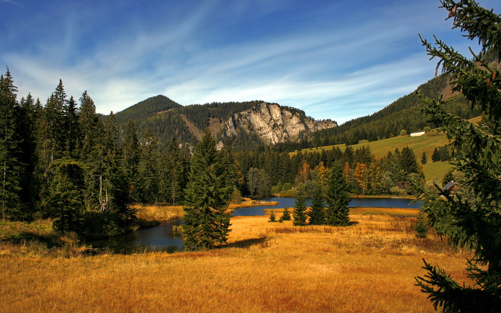 背水一战!湖人加时赛突围猛龙,战术与意志的终极较量