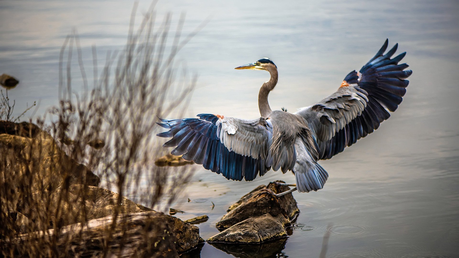 绿茵场上的文化对话，当曼城斩落尼日利亚，门迪何以成为关键先生？