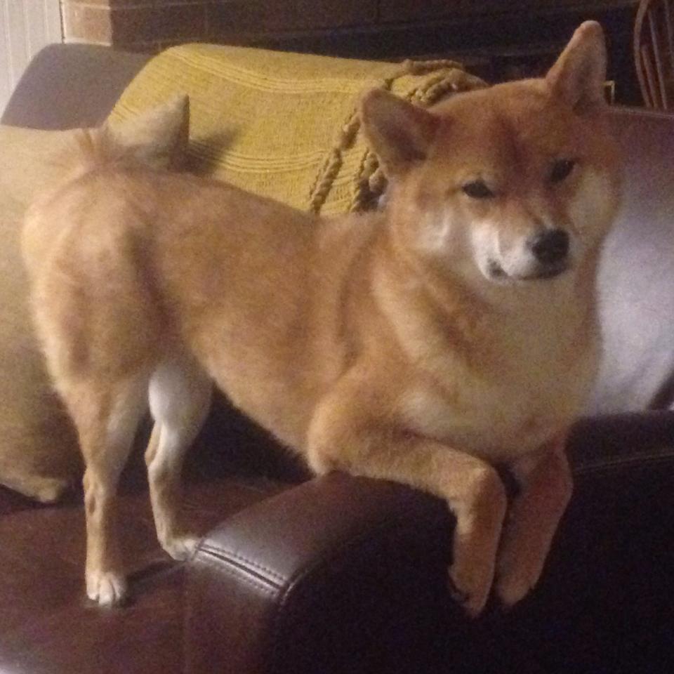 舞台与体系，足球世界的两种统治力