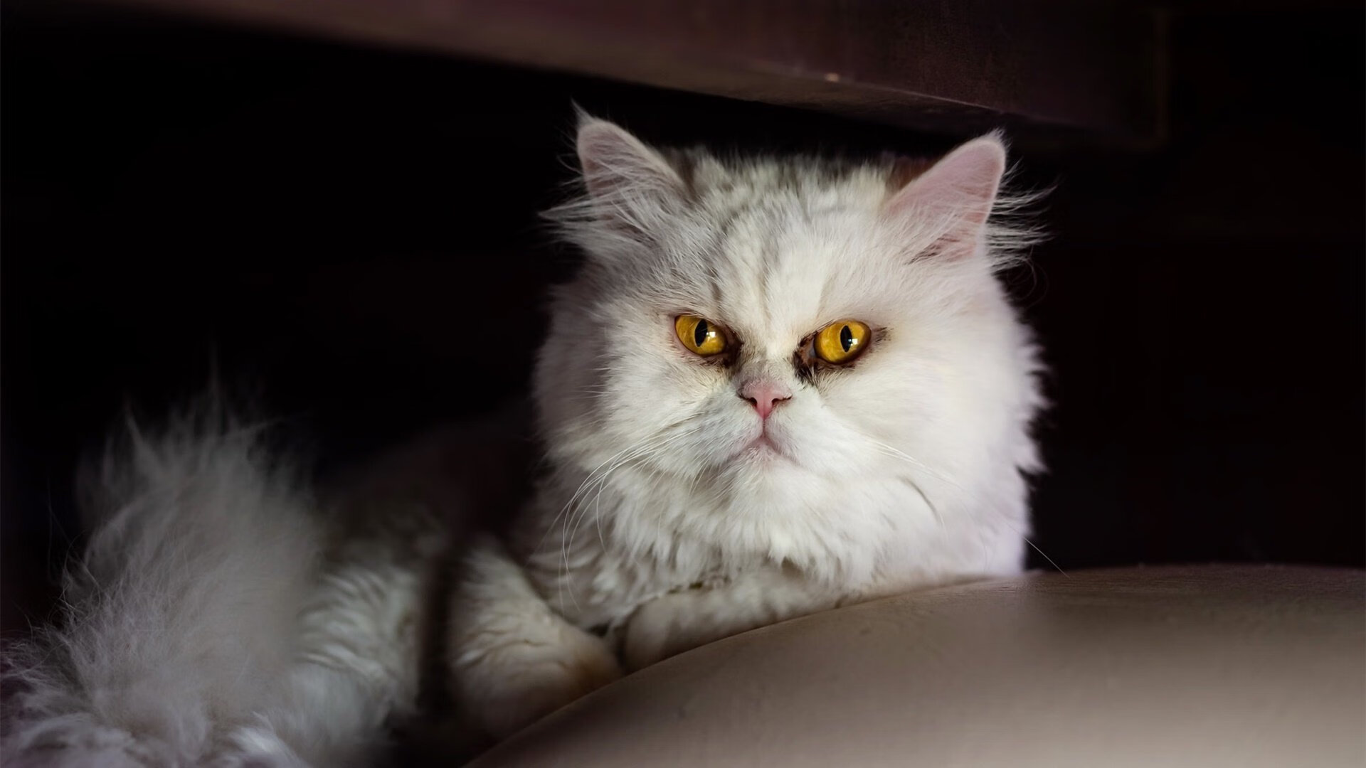 德罗赞末节15分一手掌控比赛走势，黄蜂爆冷轻取雄鹿