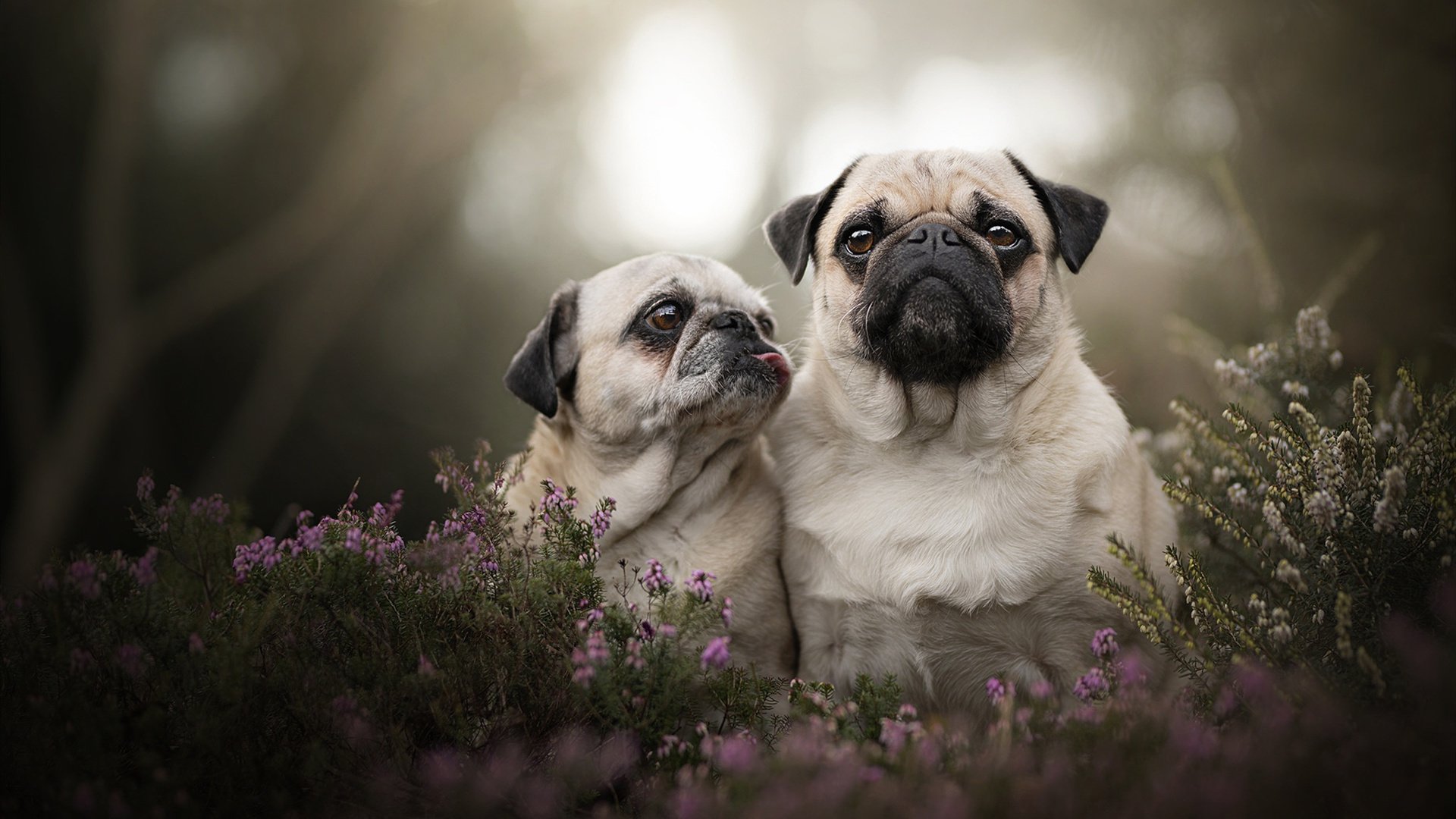 开云体育入口-戈麦斯末节爆发主宰赛场，毕尔巴鄂加时苦战力克拉齐奥