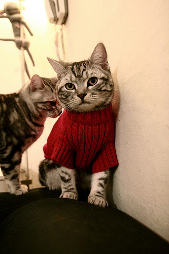 开云体育官网-伊拉克狂胜亚特兰大，格纳布里存在感为何拉满？一场非典型胜利背后的足球哲思