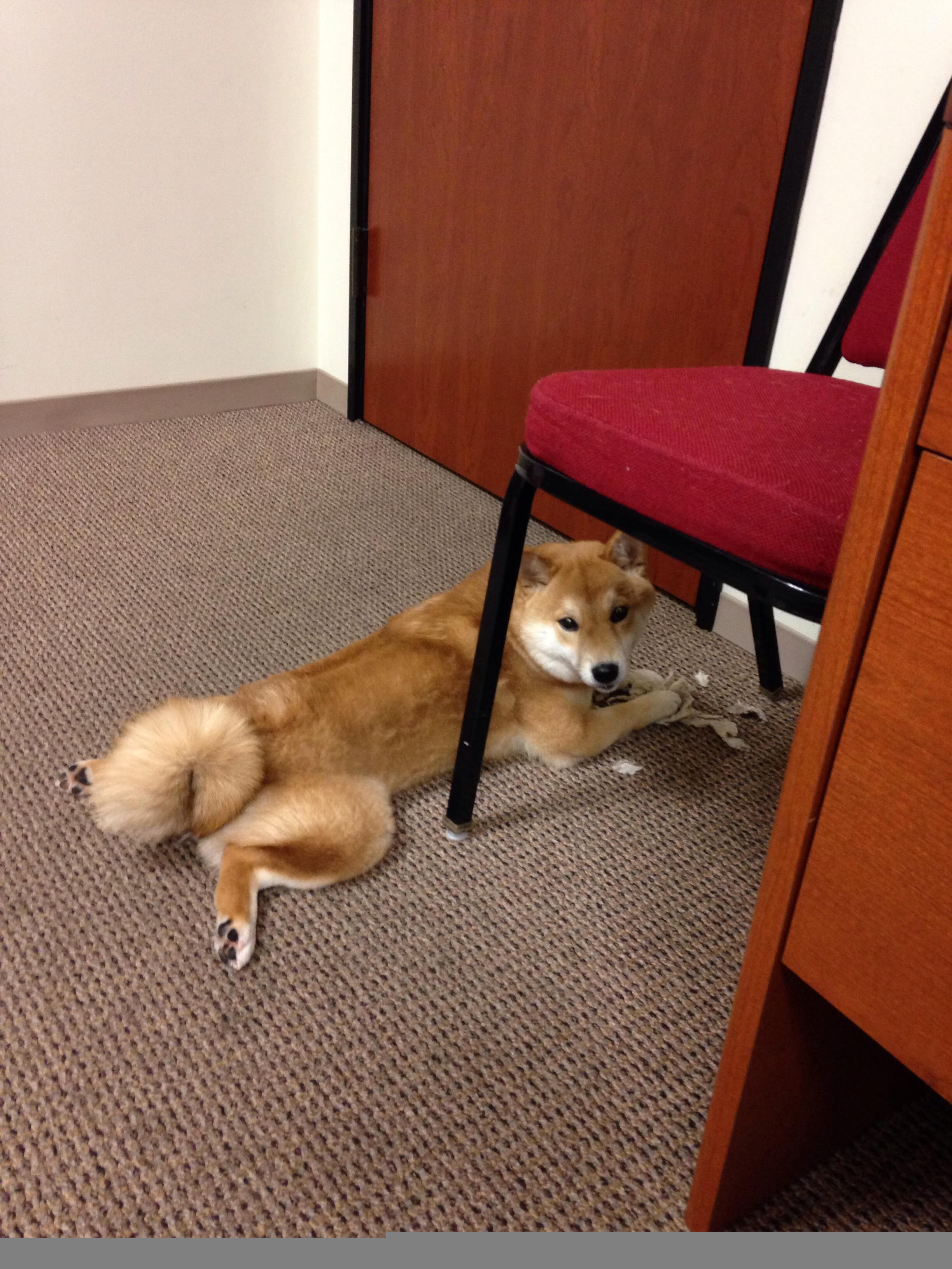 开云官网-福登闪耀与南美洪流，当个体天才遭遇战术铁壁，现代足球走向何方？