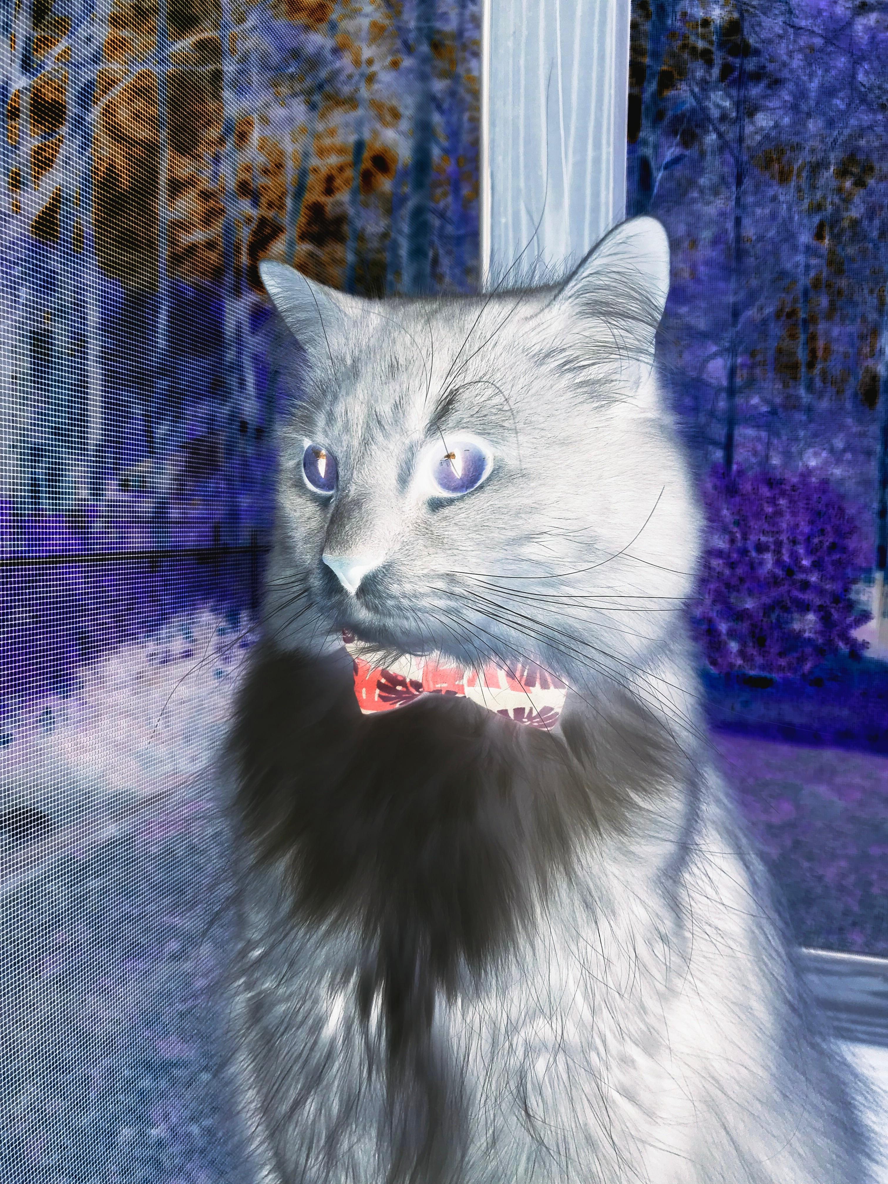 红魔压境，比利时力量如何让巴萨艺术足球黯然失色