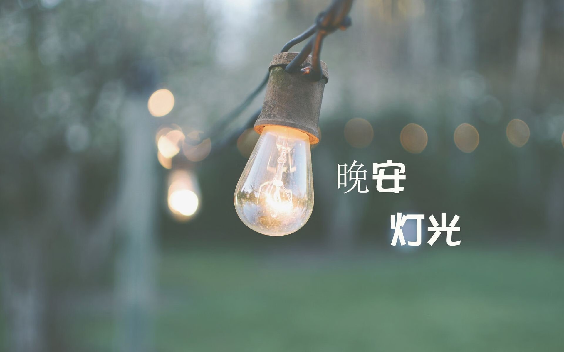 黑马之姿与王者之盾，2026世界杯F组伊拉克爆冷逼平西班牙，久保建英导演战术奇迹